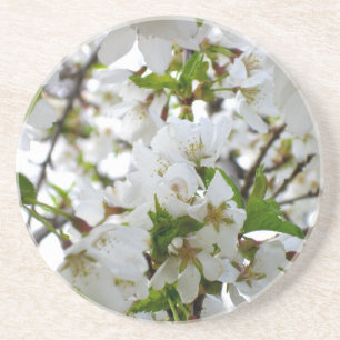 Dessous De Verre En Grès Elégant floral blanc en fleurs blanches