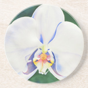 Dessous De Verre En Grès Elégante orchidée blanche