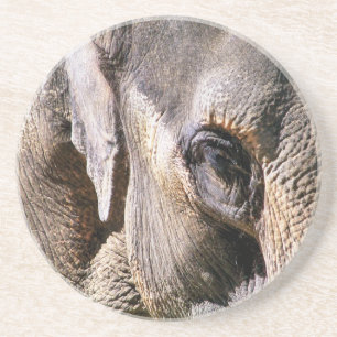 DESSOUS DE VERRE EN GRÈS ÉLÉPHANT