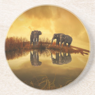 Dessous De Verre En Grès Eléphants asiatiques en Thaïlande sous un coucher 