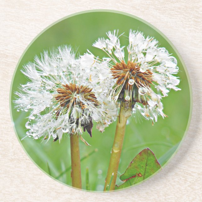 Dessous De Verre En Grès Ensemble. Toujours (Devant)