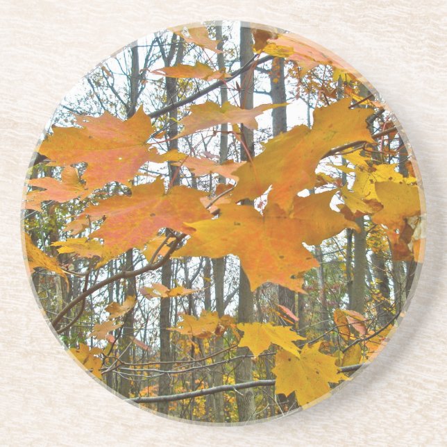 Dessous De Verre En Grès Érable d'automne (Devant)