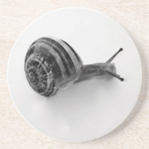 Dessous De Verre En Grès Escargot noir et blanc