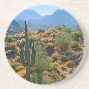 Dessous De Verre En Grès États-Unis, Arizona. Desert View