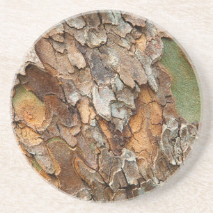 Dessous De Verre En Grès États-Unis, Tennessee, Gros Plan Sur Un Arbre