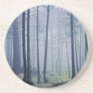 Dessous De Verre En Grès États-Unis, Washington, Orcas Island, parc d'État