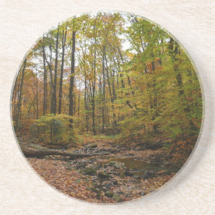 Dessous De Verre En Grès Fall Creek à Laurel Hill State Park Pennsylvania