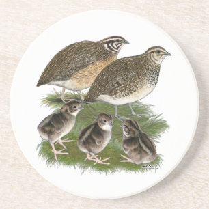 Dessous De Verre En Grès Famille Coturnix Quail