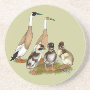 Dessous De Verre En Grès Famille de canards coureurs à plumage crayonné