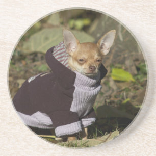 Dessous De Verre En Grès Fancy Chihuahua