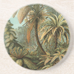 Dessous De Verre En Grès Ferns Palm Tree Antiquité Botanique Ferns Art