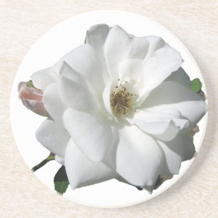 Dessous De Verre En Grès Fête de Mariage Fleurs de Rosée Blanche Destinée