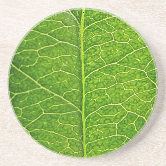 Dessous De Verre En Grès feuille verte (Devant)