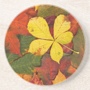 Dessous De Verre En Grès Feuilles d'automne colorées