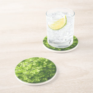 Dessous De Verre En Grès Feuilles d'érable variés