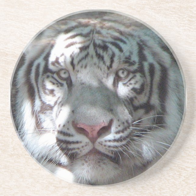 Dessous De Verre En Grès Fin blanche de tigre (Devant)