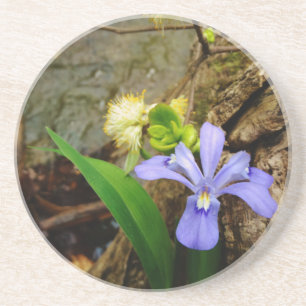 Dessous De Verre En Grès Fleur blanche pourpre bleu Iris