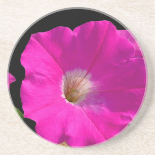 Dessous De Verre En Grès fleur de pétunia rose