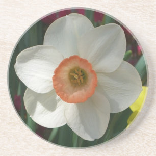 Dessous De Verre En Grès Fleur de printemps de jonquille rose