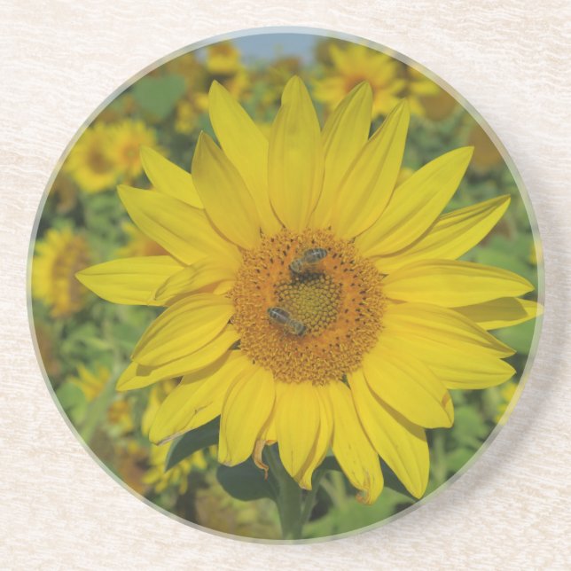 Dessous De Verre En Grès fleur de soleil jaune fleur d'été (Devant)