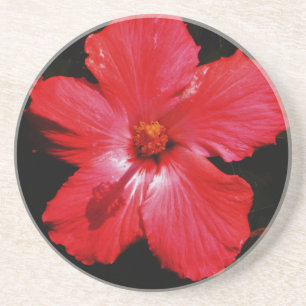 Dessous De Verre En Grès Fleur d'Hibiscus rouge rose chaud sur noir