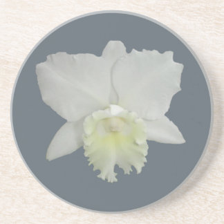 Dessous De Verre En Grès Fleur d'orchidée blanche