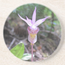 Fleur d'orchidée Fairyslipper