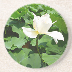 Dessous De Verre En Grès Fleur Lotus blanche