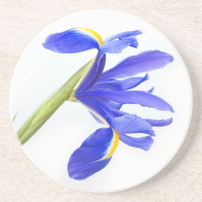 Dessous De Verre En Grès Fleur pourpre d'iris (Devant)