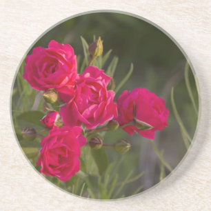 Dessous De Verre En Grès Fleur rose