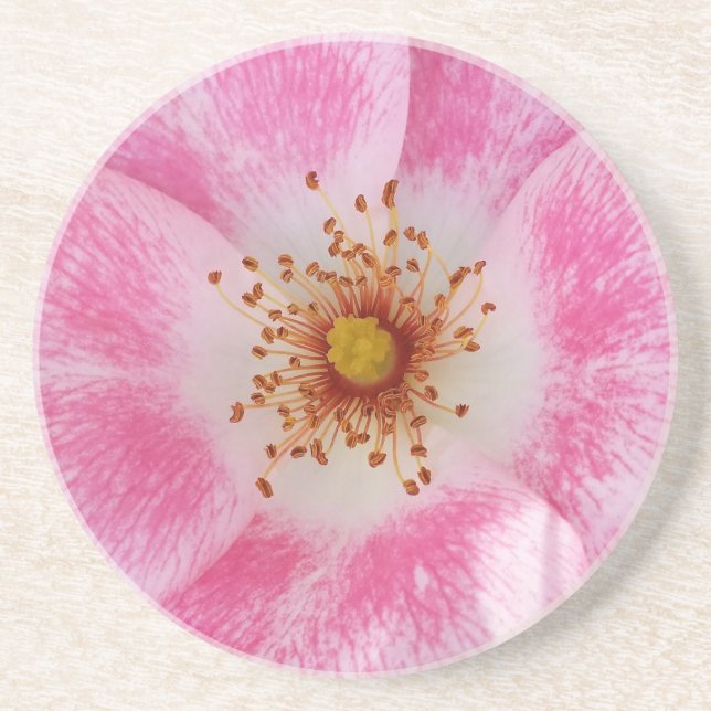 Dessous De Verre En Grès fleur rose à l'ombre (Devant)