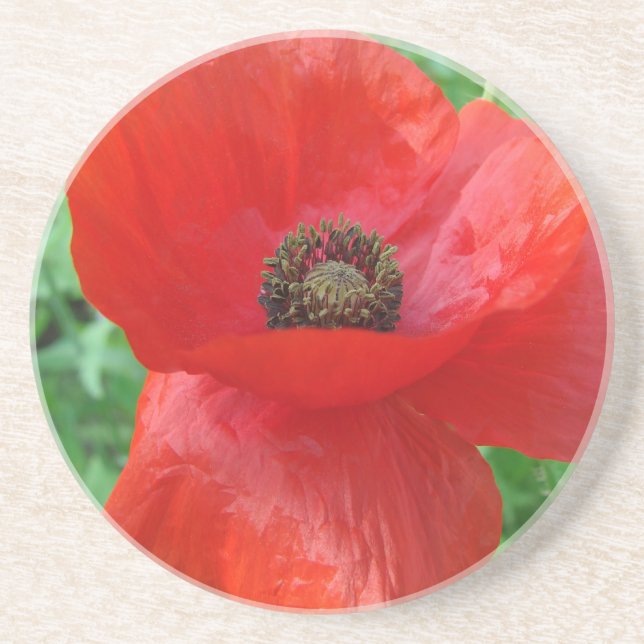 Dessous De Verre En Grès Fleur Rouge (Devant)