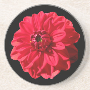 Dessous De Verre En Grès Fleur rouge botanique de dahlia sur toute couleur