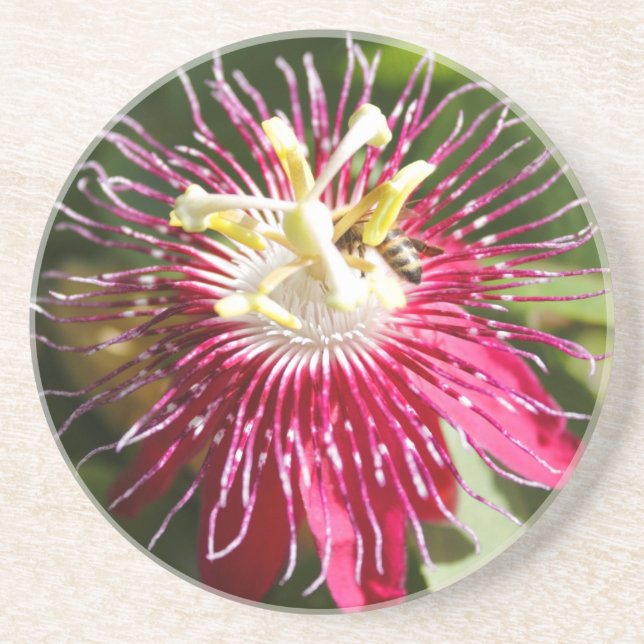 Dessous De Verre En Grès Fleur rouge de passion avec l'abeille (Devant)