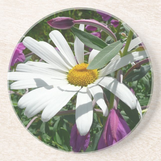 Dessous De Verre En Grès Fleur sauvage Daisy et Fireweed (Devant)