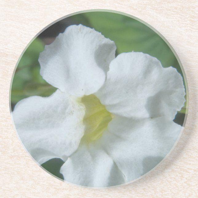 Dessous De Verre En Grès Fleur tropicale blanche trouvée à Fidji (Devant)