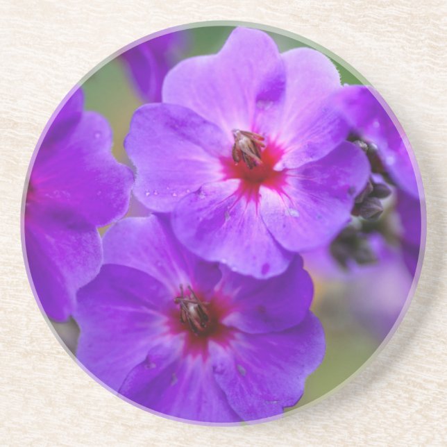Dessous De Verre En Grès Fleur violette (Devant)