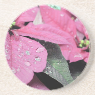 Dessous De Verre En Grès Fleurs