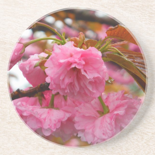 Dessous De Verre En Grès Fleurs de fleurs de cerisier rose chaud (Devant)