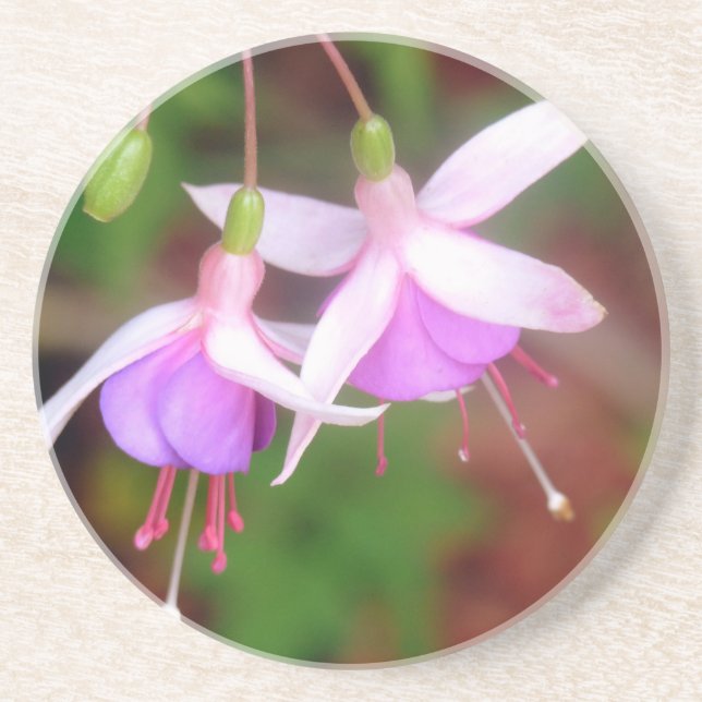 Dessous De Verre En Grès Fleurs de Fuschia (Devant)