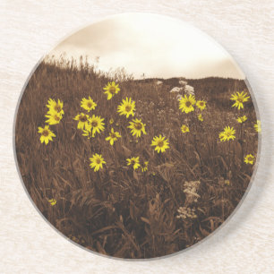 Dessous De Verre En Grès Fleurs de soleil