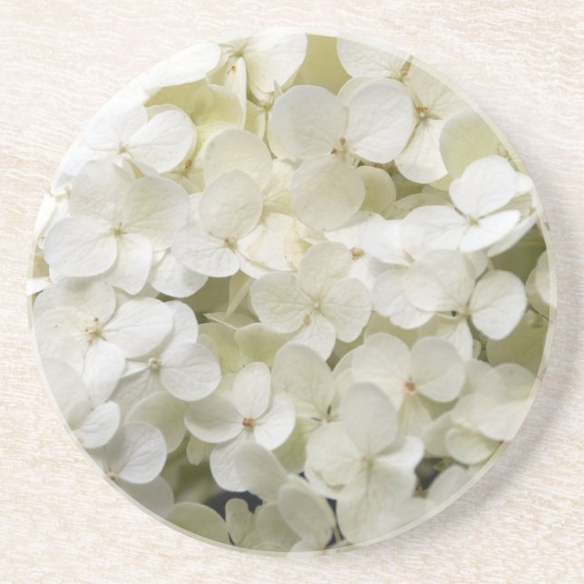 Dessous De Verre En Grès Fleurs d'Hydrangée Blanche (Devant)