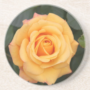 Dessous De Verre En Grès Fleurs roses fleurs fleur amour femme couple amour