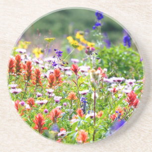Dessous De Verre En Grès Fleurs sauvages
