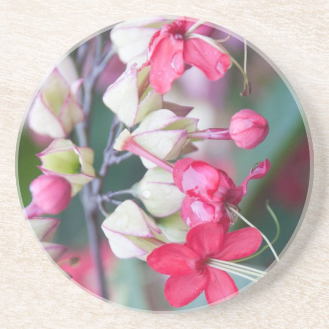Dessous De Verre En Grès Fleurs tropicales roses et blanches rouges (Devant)