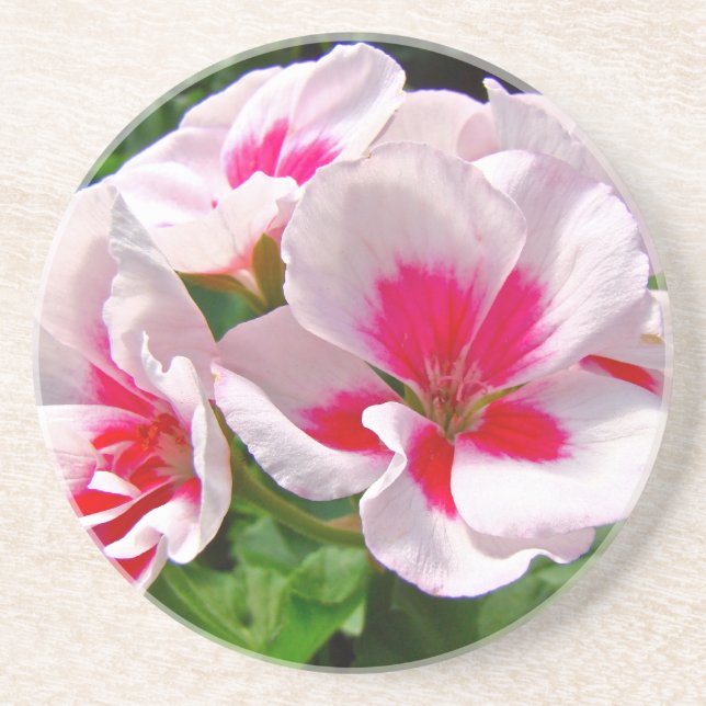 Dessous De Verre En Grès Floral de géranium rose et rouge (Devant)