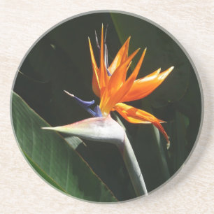 Dessous De Verre En Grès Flower tropical orange paradise