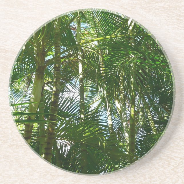 Dessous De Verre En Grès Forest of Palm Trees Tropical Nature (Devant)