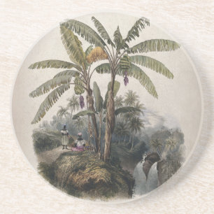 Dessous De Verre En Grès Forêt de bananiers tropicaux antiques Bota vinta