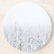 Forêt de Milou